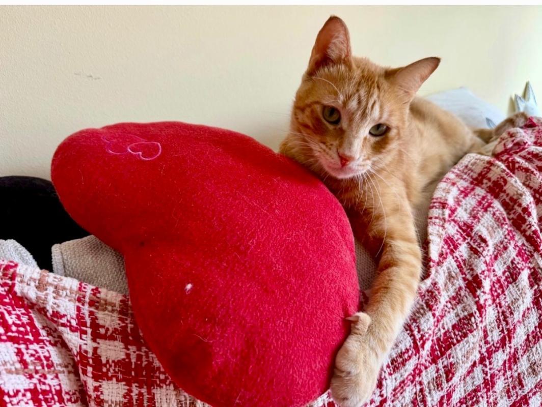 Pablo