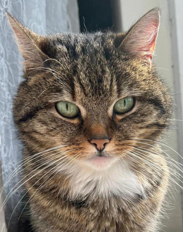 Mimi