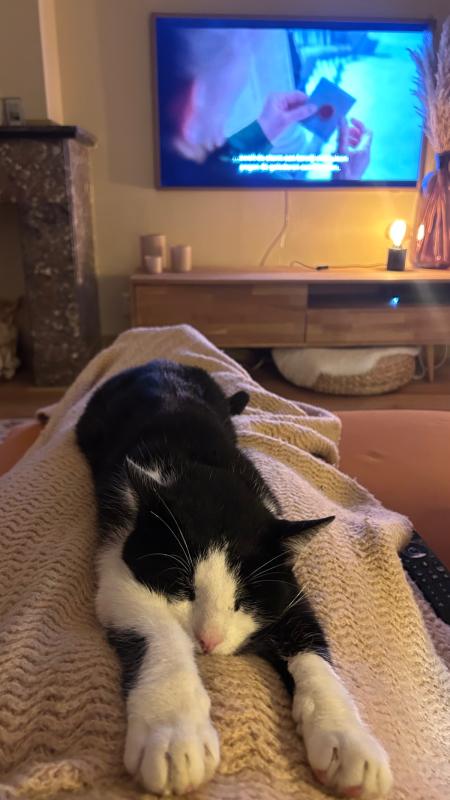 Toepie
