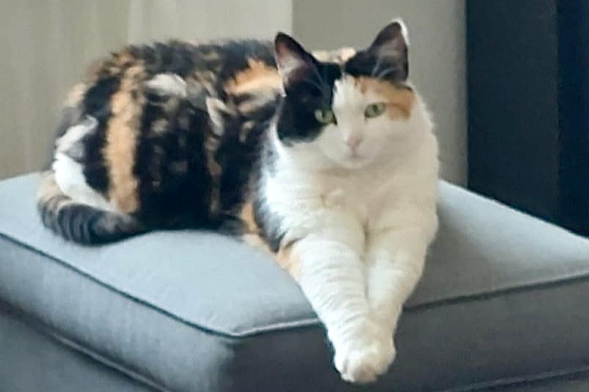 Sophie