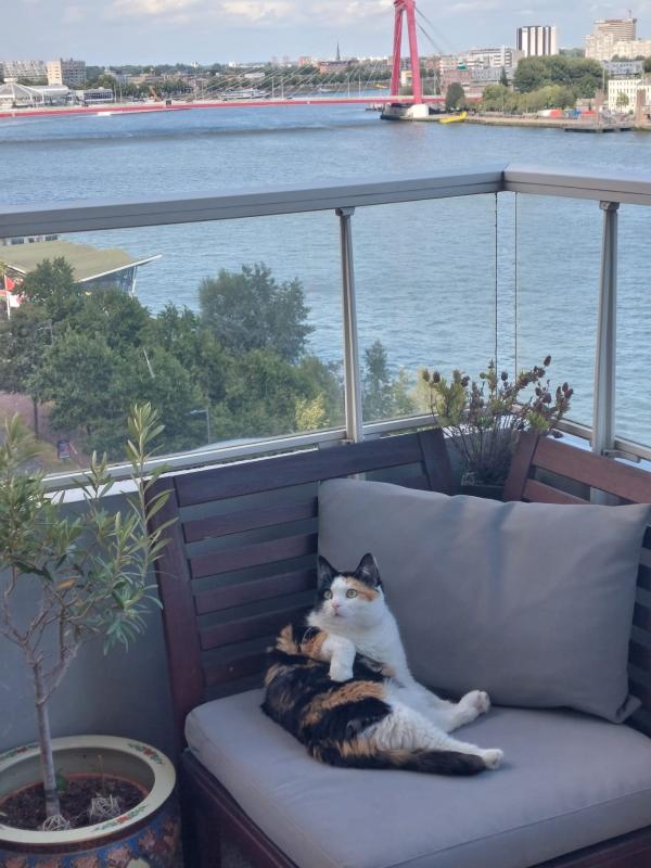 Sophie