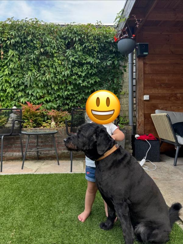 Bo