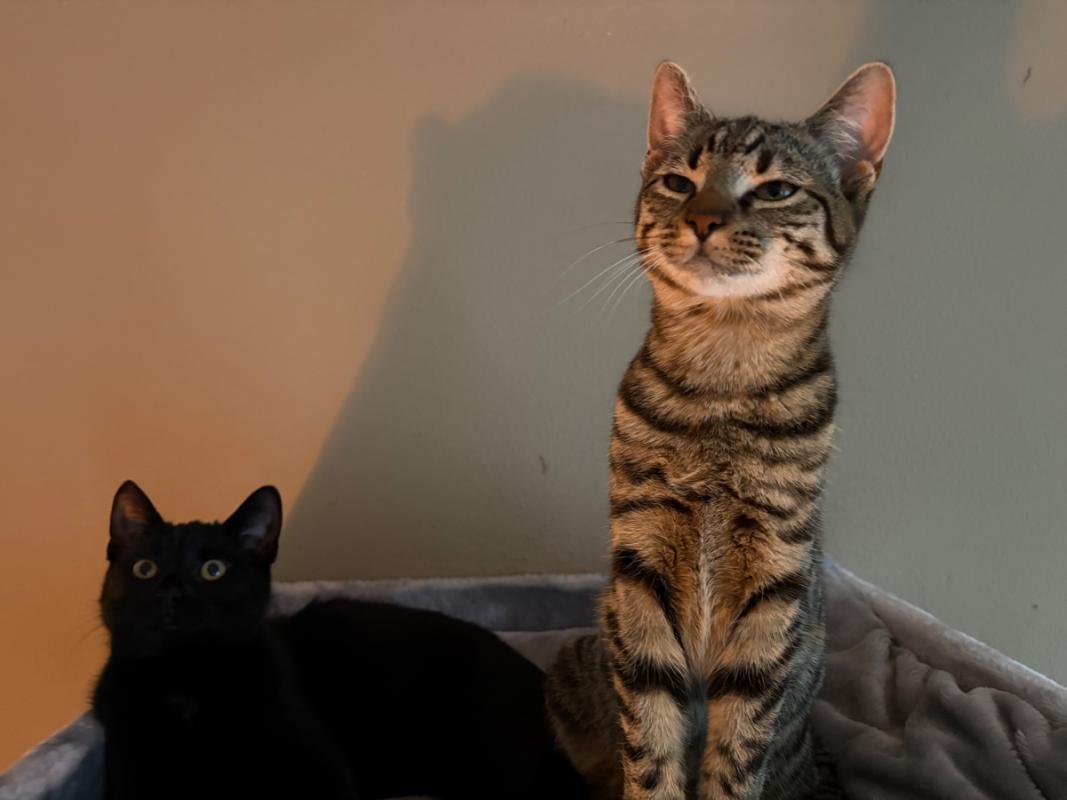 Luna