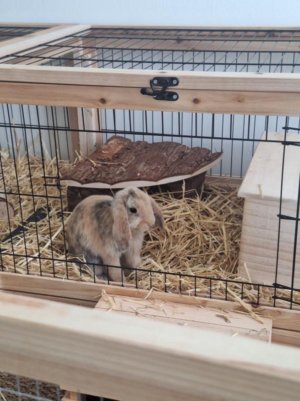 Fluffy en Storm