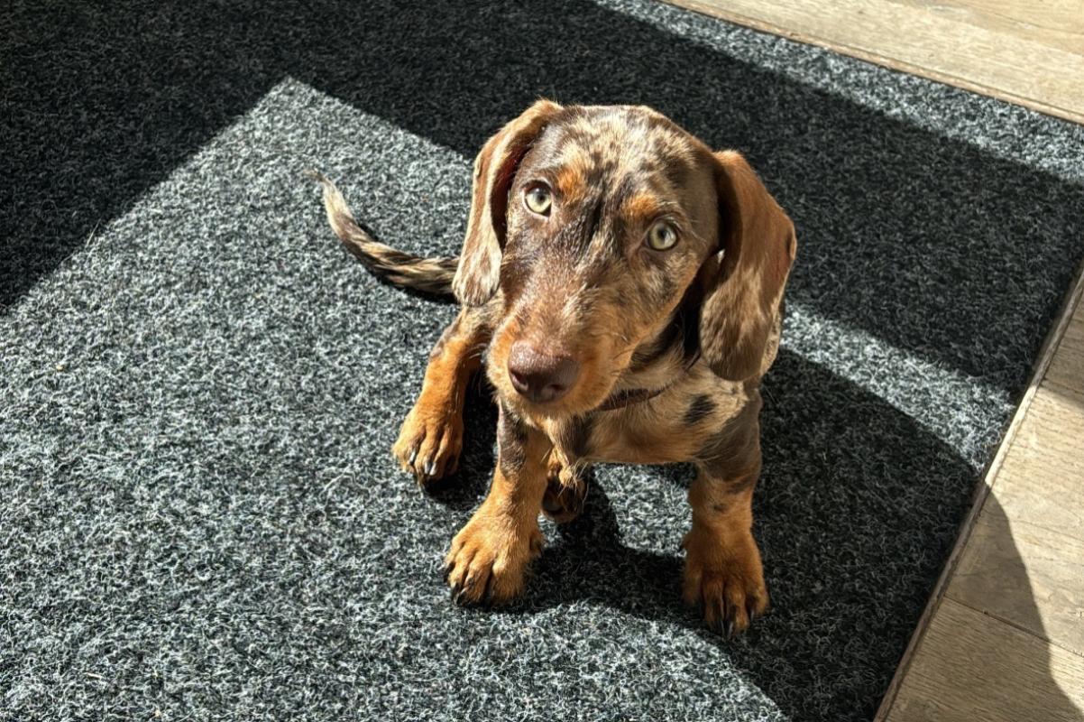 Charlie