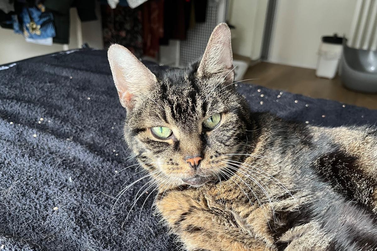 Nina