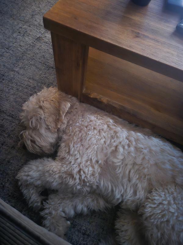 Olly