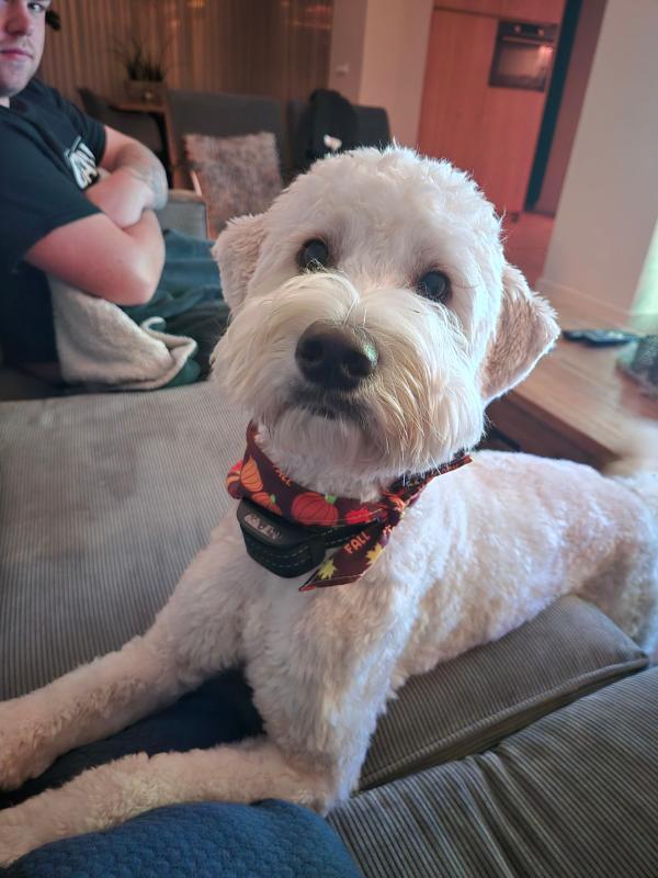 Olly