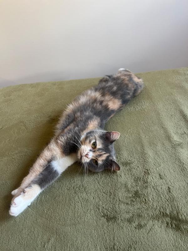 Chloé