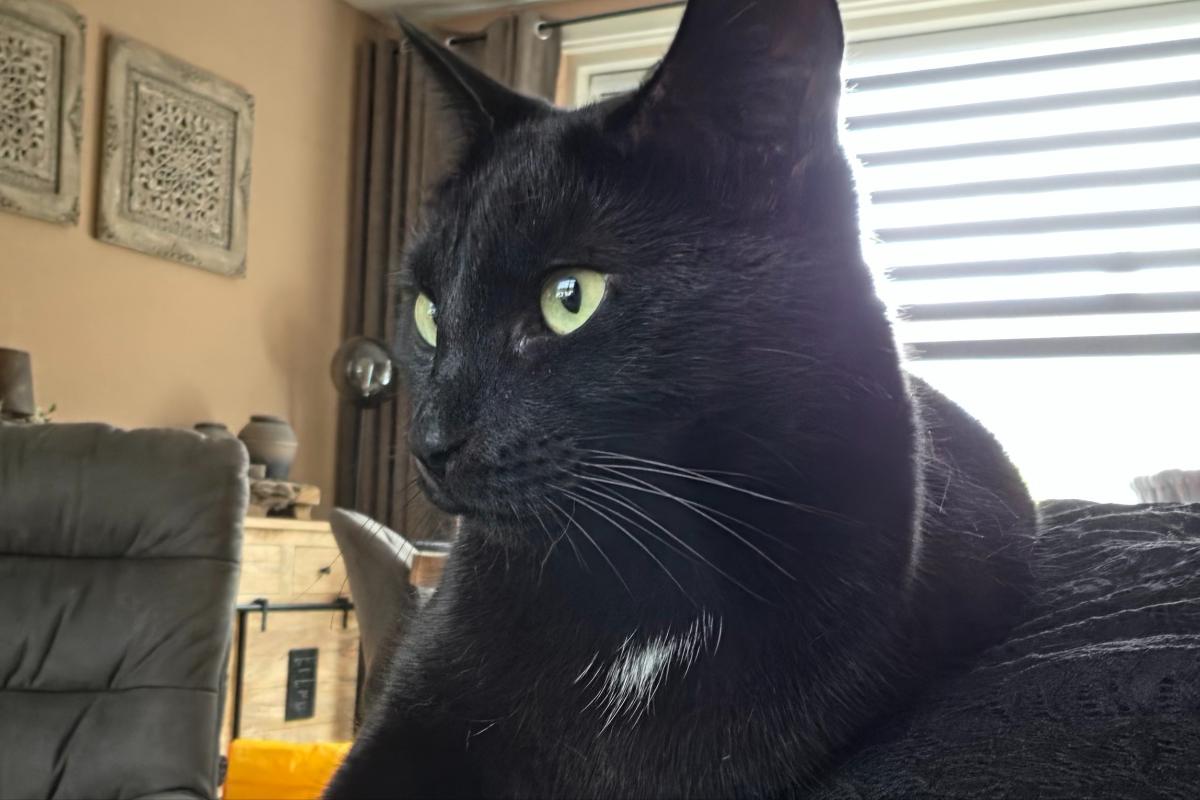 Onyx