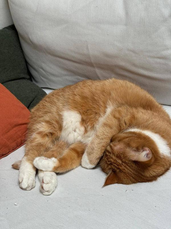 Henry