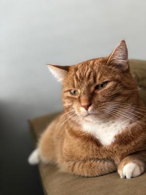Henry