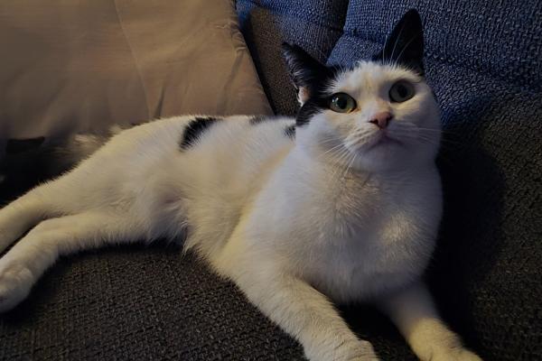 Zoe