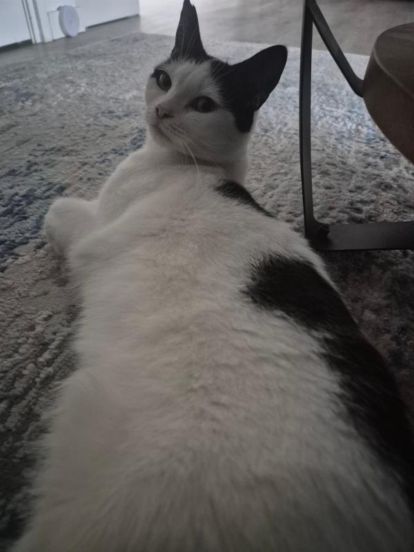 Zoe