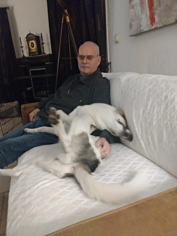 Güneş