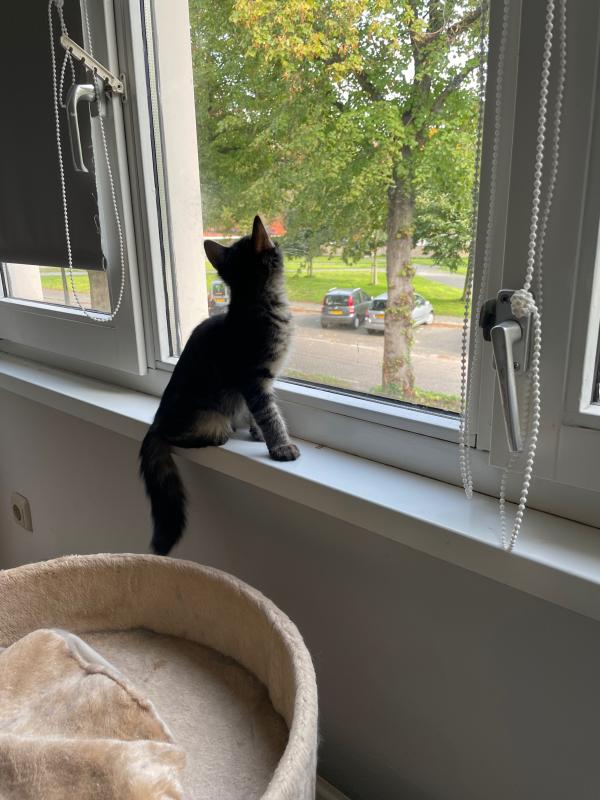 Charlie