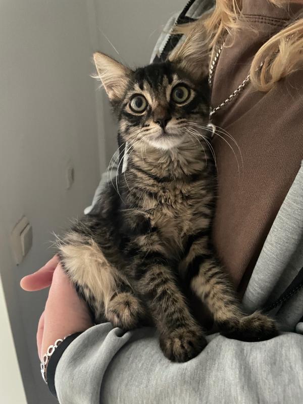 Charlie