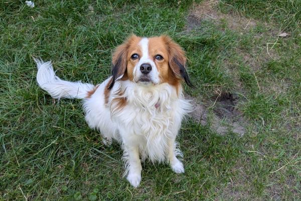 Marley