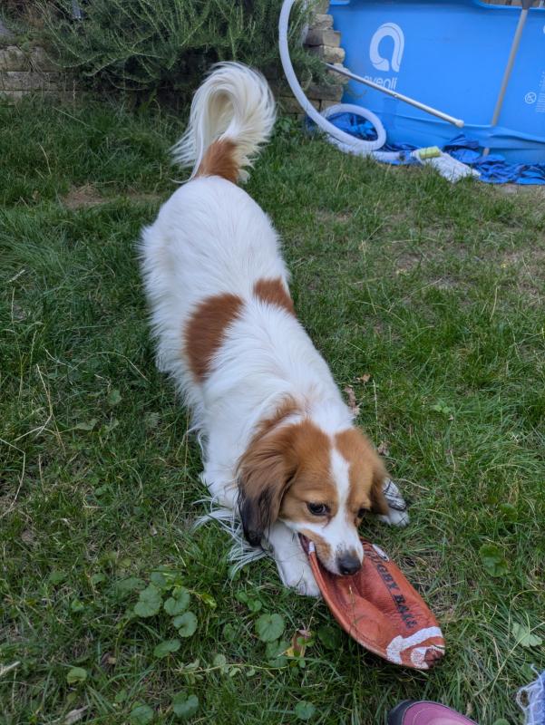 Marley
