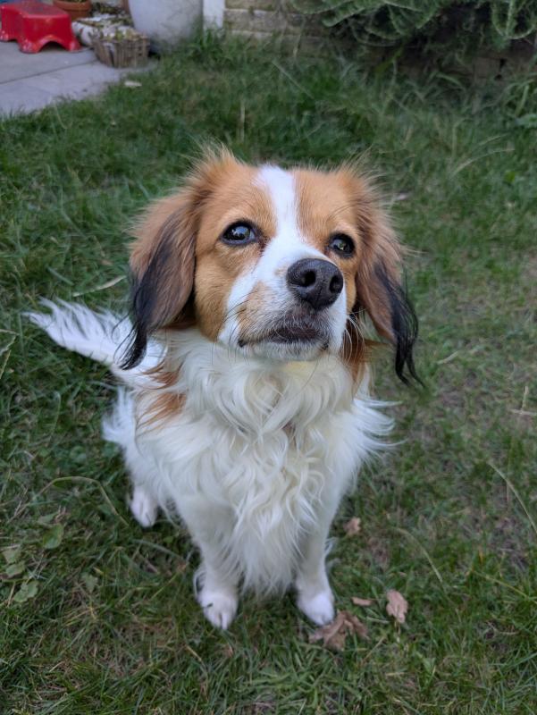 Marley