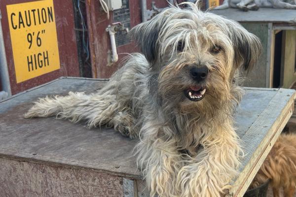 Baxter