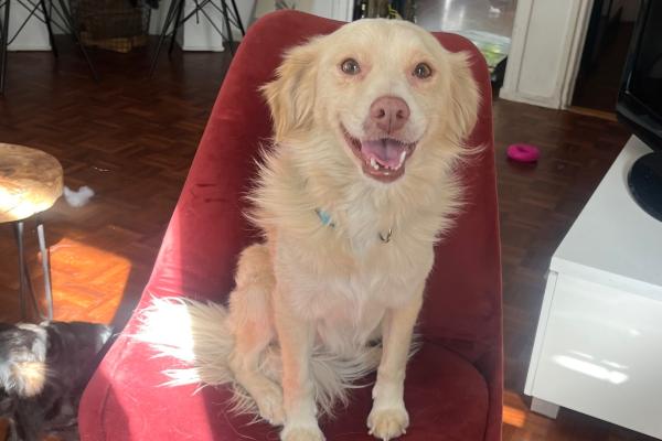 Milo