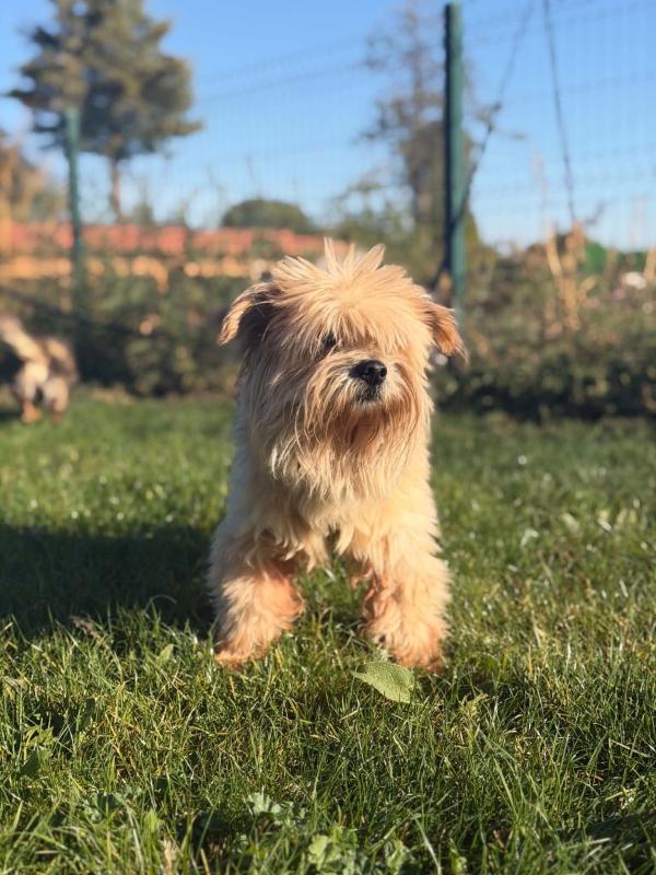 Bailey