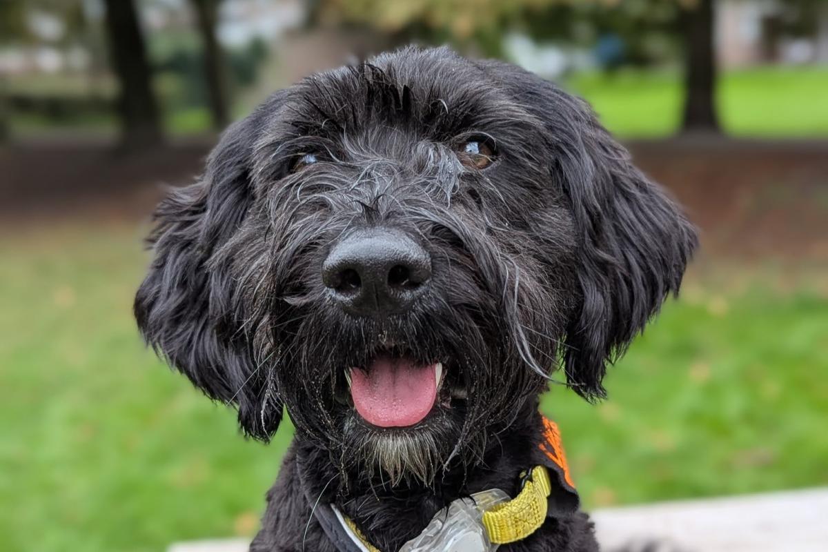 Charlie