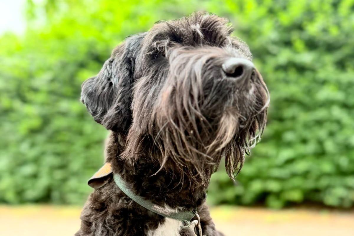 Charlie