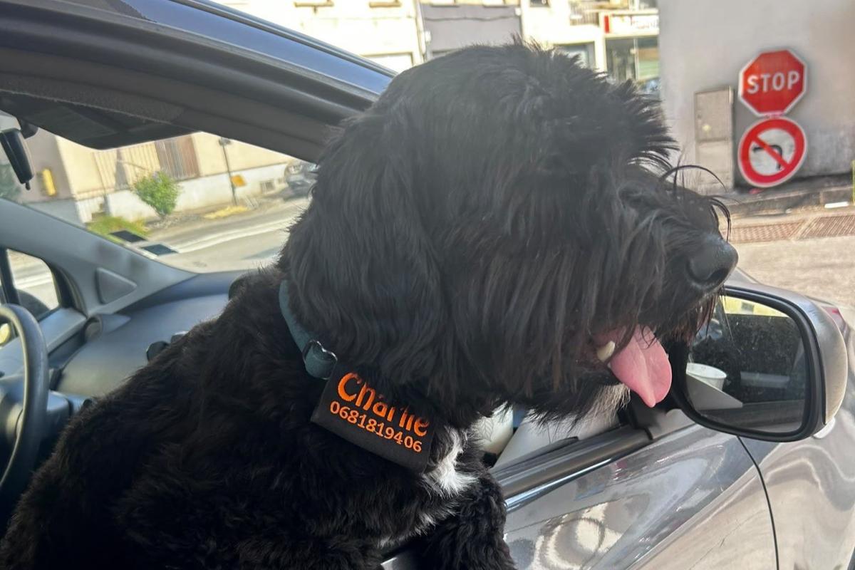 Charlie