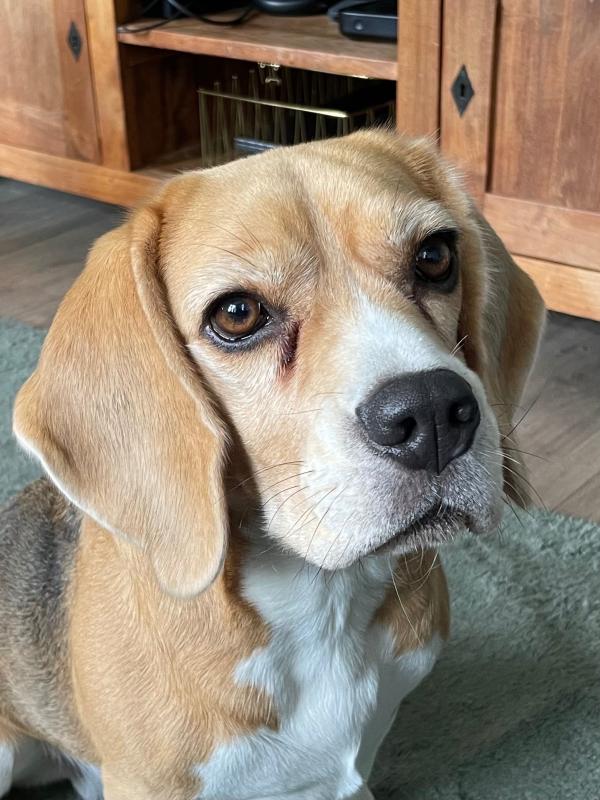 Mollie