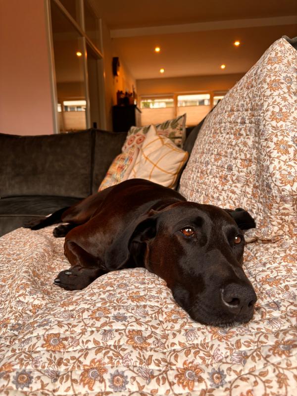 Mila
