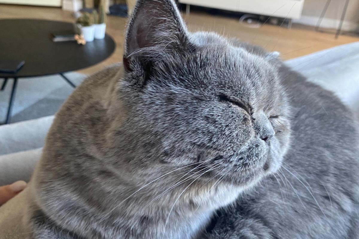 Rosie