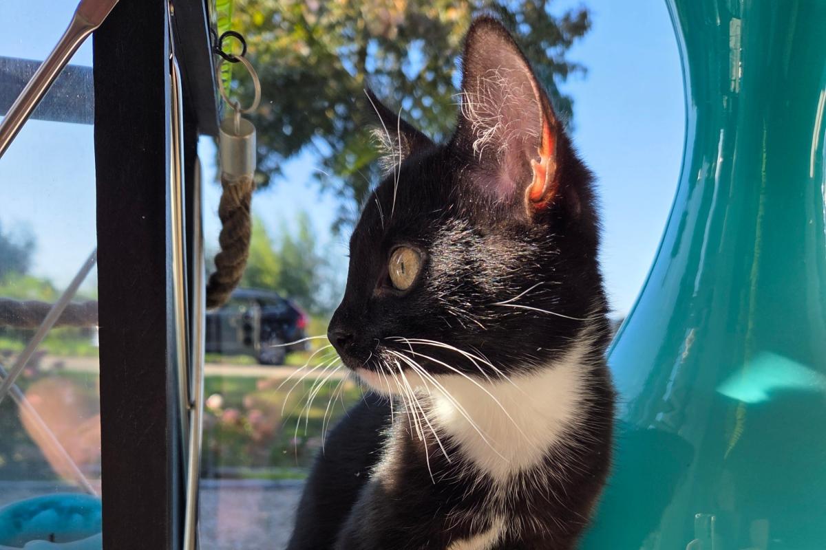 Max