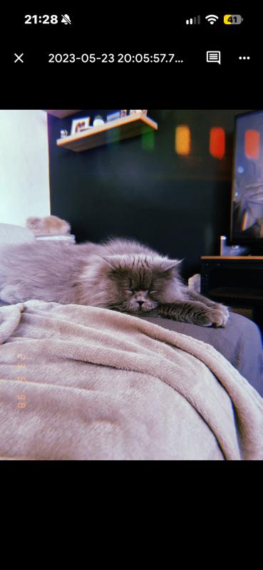 Chubby