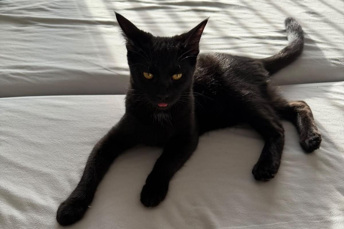 Leo