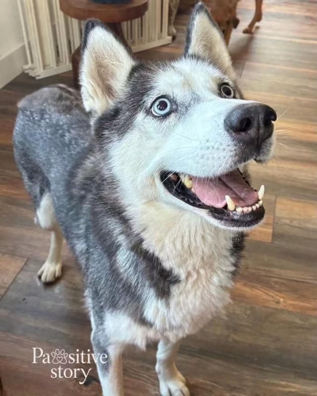 Luna