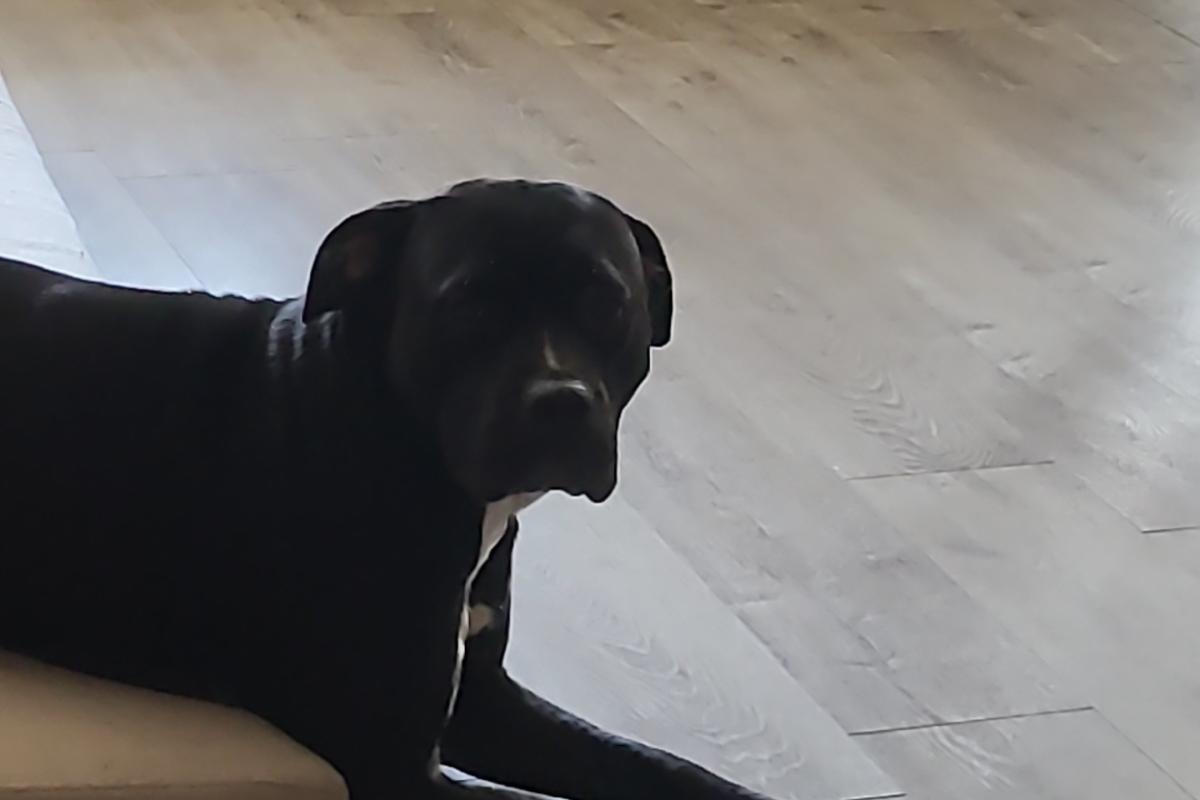 Zoey