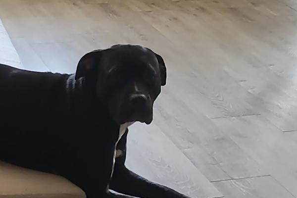 Zoey