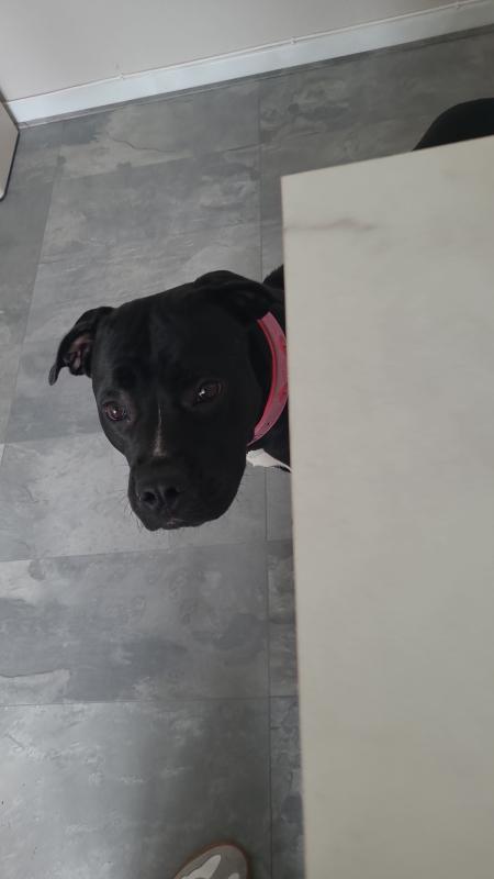 Zoey
