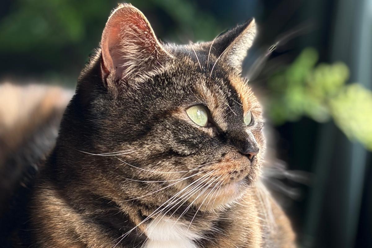 Maggie Mae