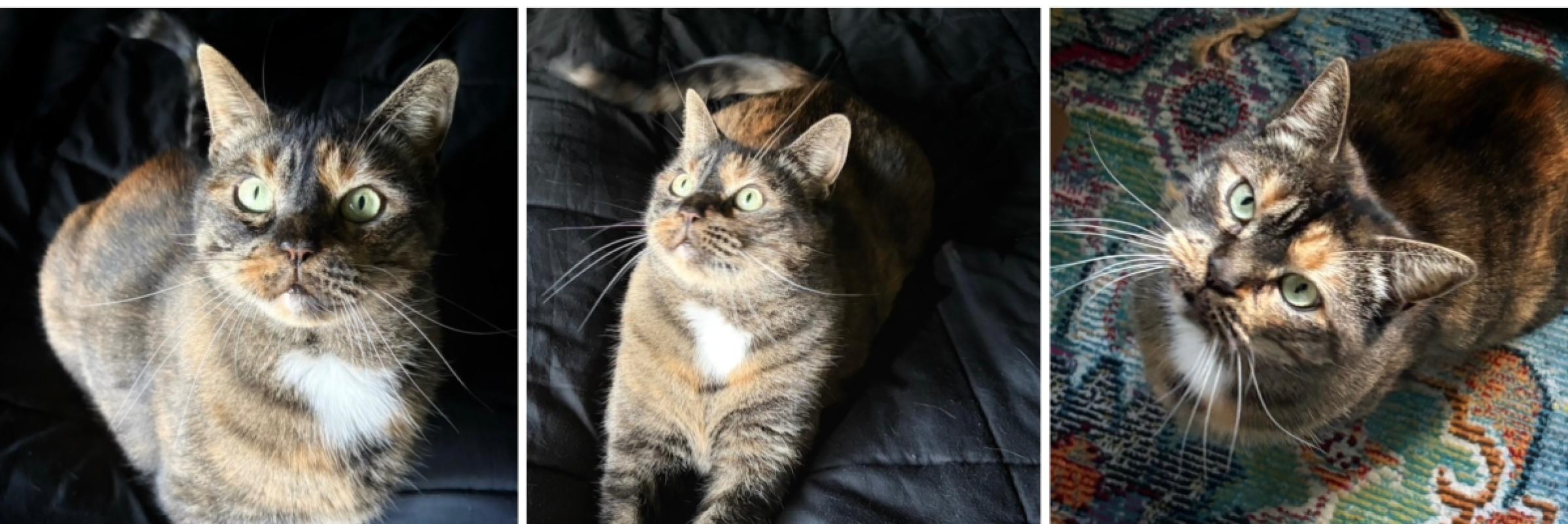 Maggie Mae