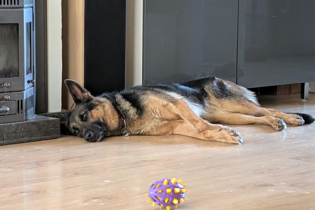 Luna