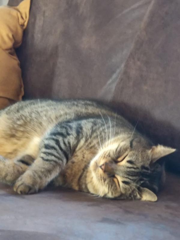 Jamie