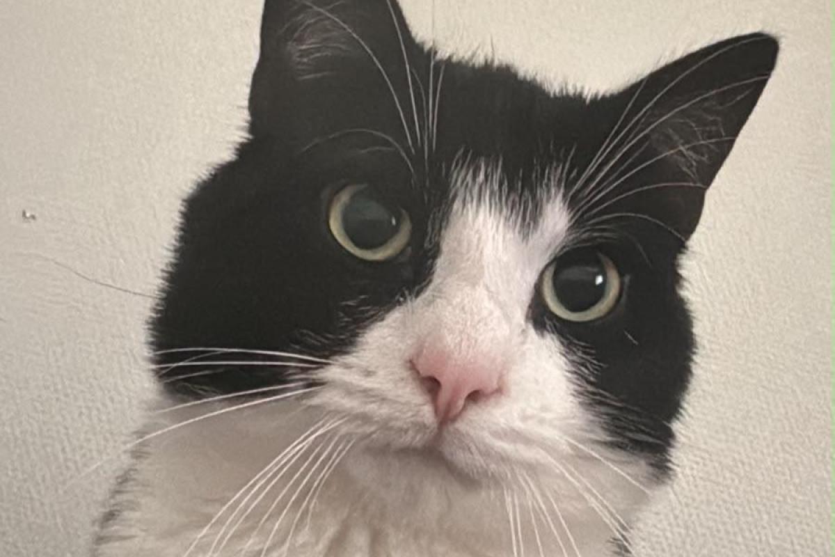 Milo