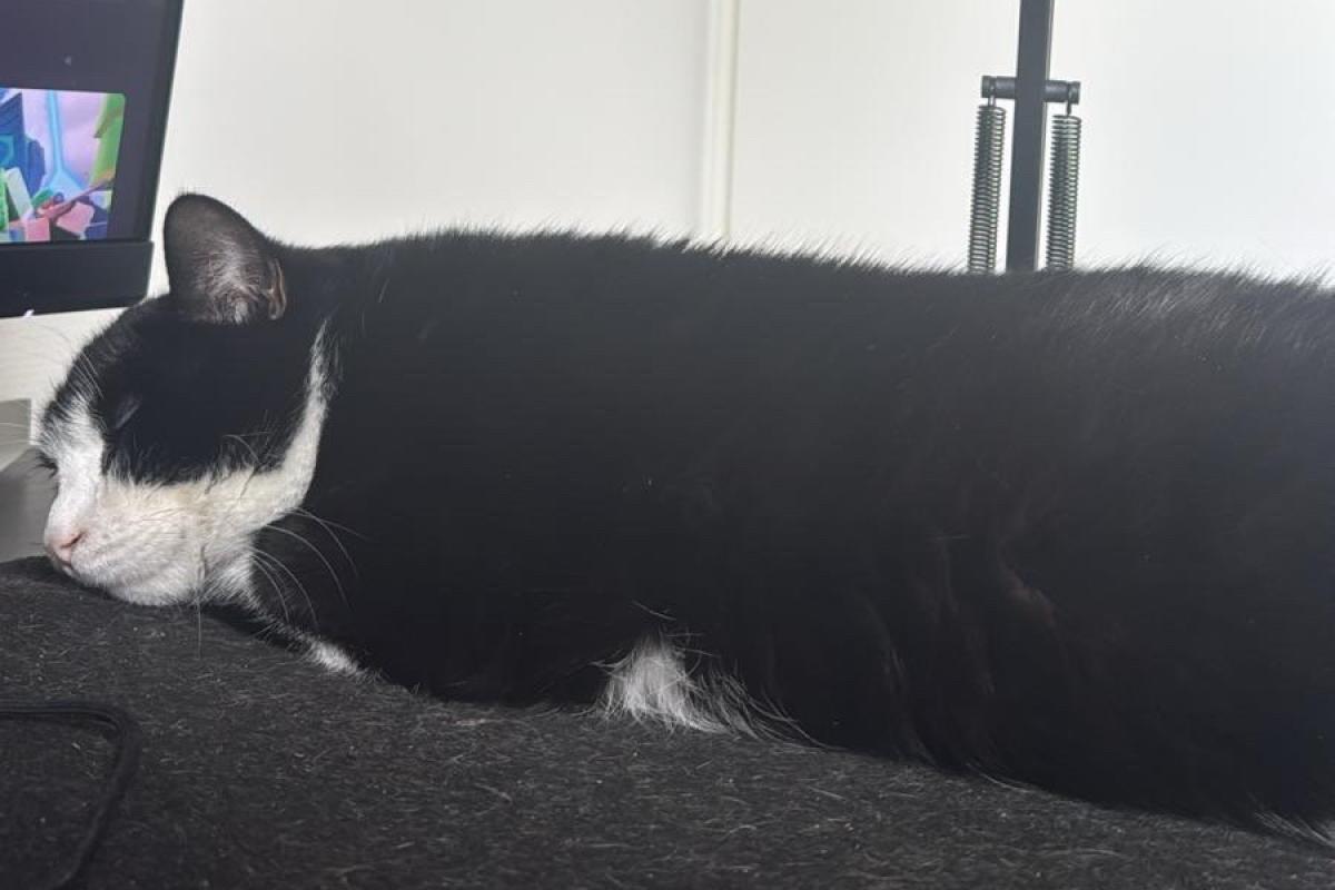 Milo