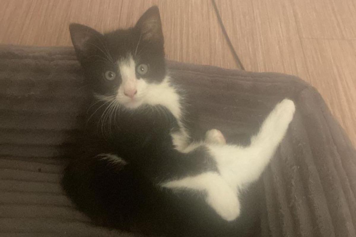 Milo