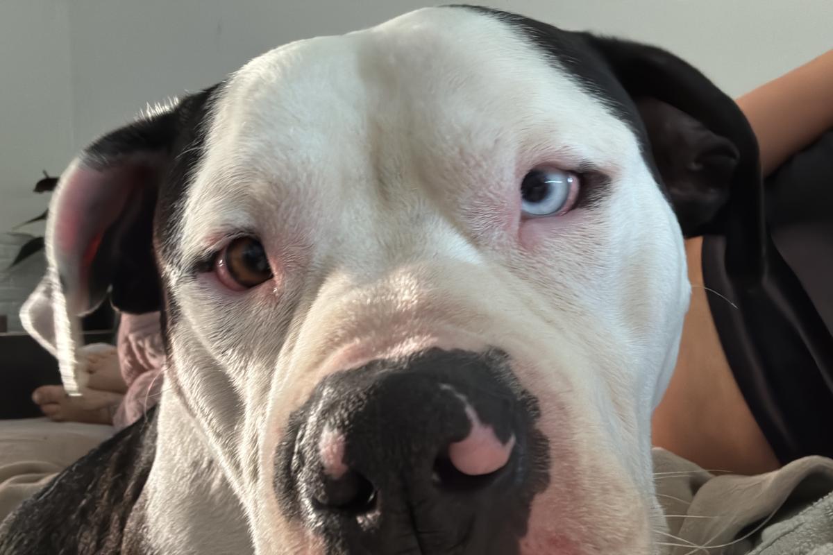 Max