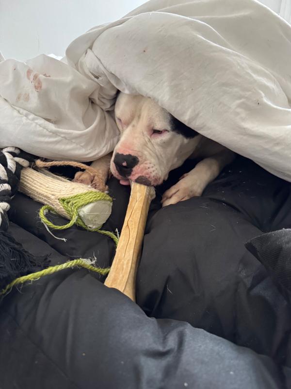 Max