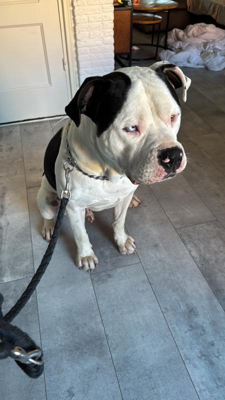 Max